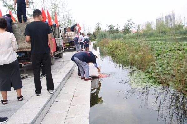 济宁市太白湖新区开展投鱼灭蚊集中活动 同步推进水质检测服务