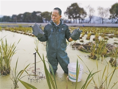 余姚探索水产养殖绿色健康发展之路 水质检测服务护航生态养殖